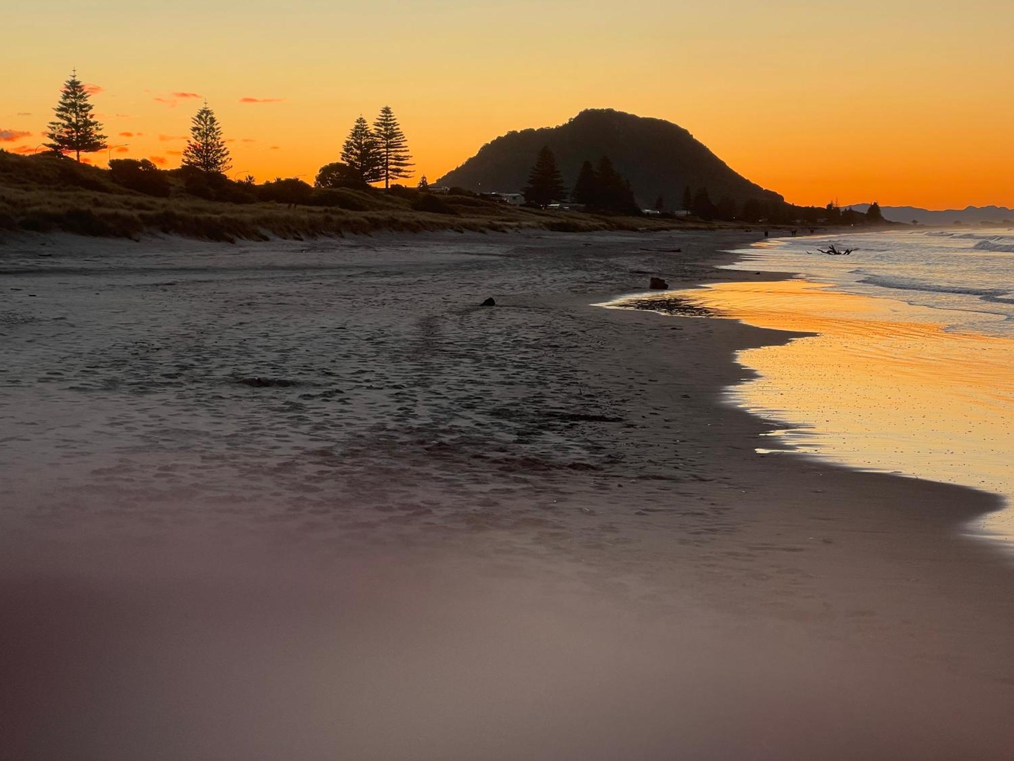 Beachside Bliss Apartment Tauranga Exterior photo